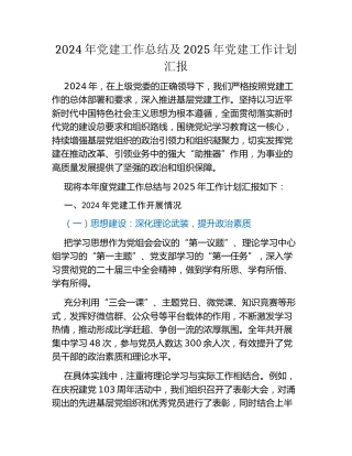 2024年党建工作总结及2025年党建工作计划汇报