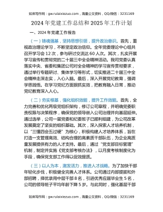 2024年党建工作总结和2025年工作计划（2）