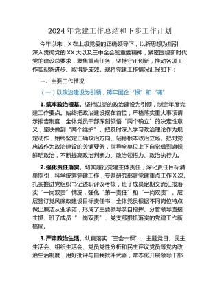 2024年党建工作总结和下步工作计划