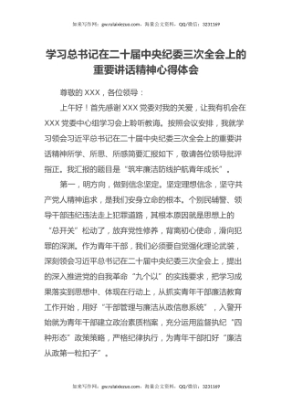 学习总书记在二十届中央纪委三次全会上的重要讲话精神心得体会