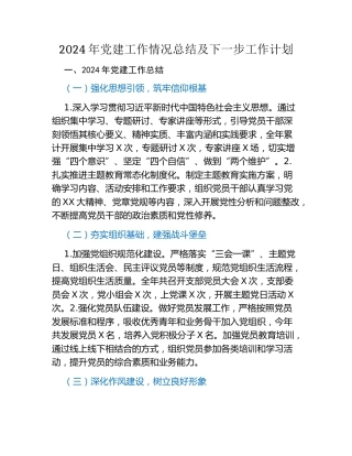 2024年党建工作情况总结及下一步工作计划