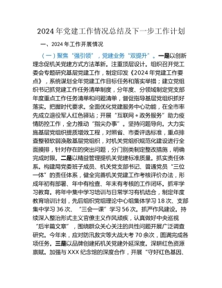 2024年党建工作情况总结及下一步工作计划（2）
