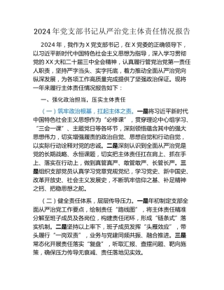 2024年党支部书记从严治党主体责任情况报告