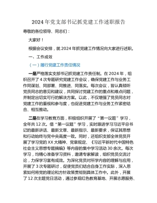 2024年党支部书记抓党建工作述职报告