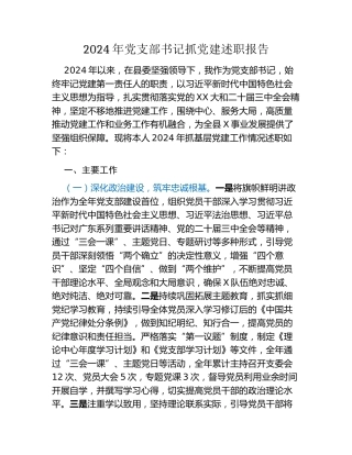 2024年党支部书记抓党建述职报告