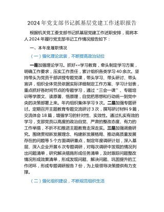 2024年党支部书记抓基层党建工作述职报告