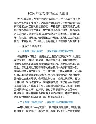 2024年党支部书记述职报告 (2)