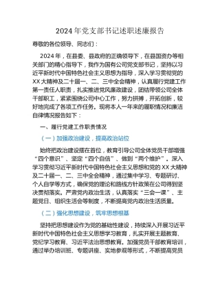 2024年党支部书记述职述廉报告