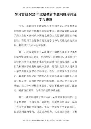 学习贯彻2023年主题教育专题网络培训班学习感想（心得体会）