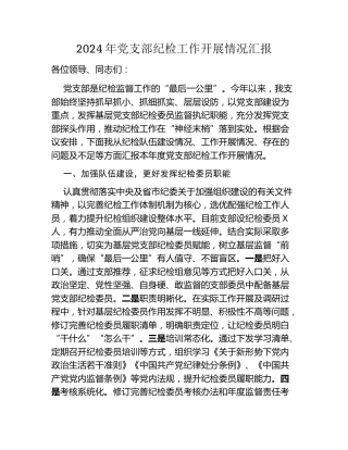 2024年党支部纪检工作开展情况汇报