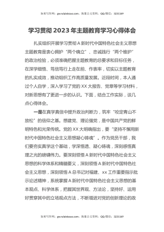 学习贯彻2023年主题教育学习心得体会 (2)