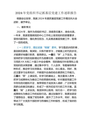 2024年党组织书记抓基层党建工作述职报告