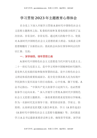 学习贯彻2023年主题教育心得体会（11）