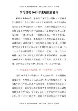 学习贯彻2023年主题教育感悟（心得体会）