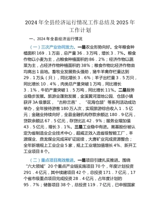 2024年全县经济运行情况工作总结及2025年工作计划