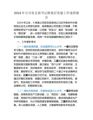 2024年公司党支部书记抓基层党建工作述职报告