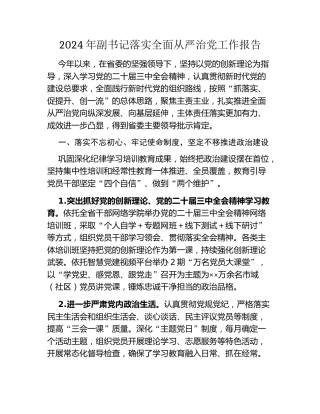 2024年副书记落实全面从严治党工作报告