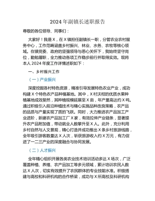 2024年副镇长述职报告