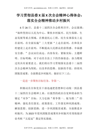 学习贯彻县委X届X次全会精神心得体会：落实全会精神推动乡村振兴
