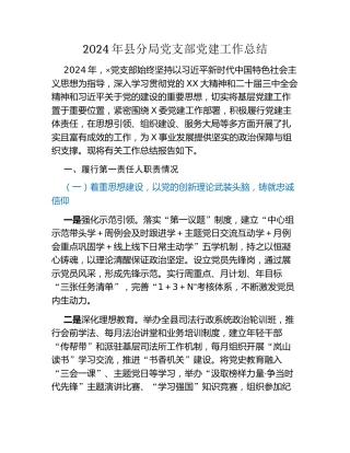 2024年县分局党支部党建工作总结