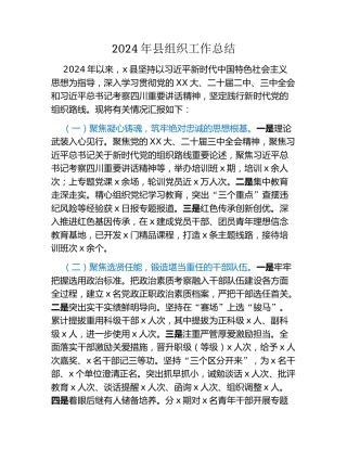 2024年县组织工作总结