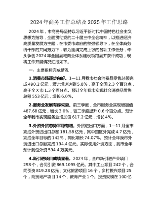 2024年商务工作总结及2025年工作思路