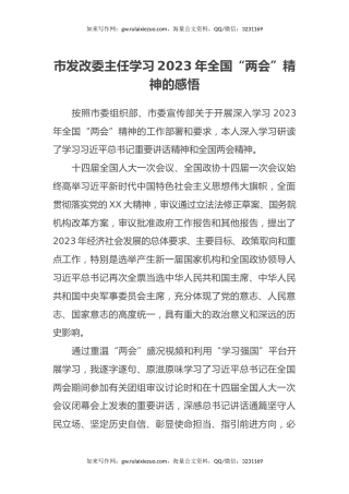 市发改委主任学习2023年全国“两会”精神的感悟（心得体会）