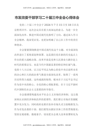 市发改委干部学习二十届三中全会心得体会