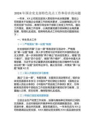 2024年国企党支部特色亮点工作和存在的问题