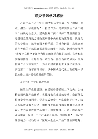 市委书记学习感悟（心得体会）