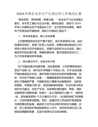 2024年国企安全生产自查自纠工作情况汇报