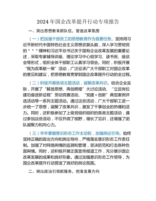2024年国企改革提升行动专项报告