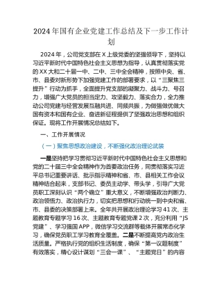 2024年国有企业党建工作总结及下一步工作计划