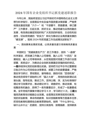 2024年国有企业党组织书记抓党建述职报告