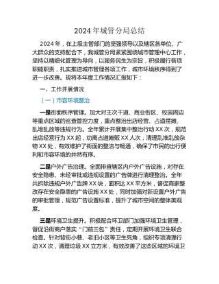 2024年城管分局总结