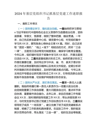 2024年基层党组织书记抓基层党建工作述职报告