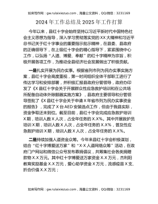 2024年工作总结及2025年工作打算