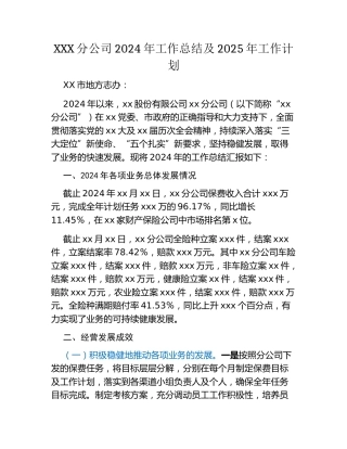 2024年工作总结及2025年工作计划