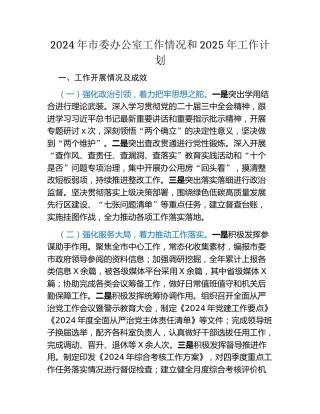 2024年市委办公室工作情况和2025年工作计划
