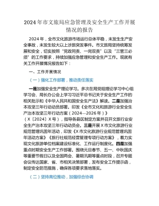 2024年市文旅局应急管理及安全生产工作开展情况的报告
