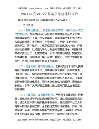 2024年度xx书记抓基层党建述职报告（2）