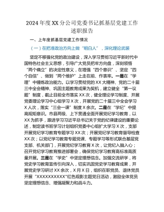 2024年度XX分公司党委书记抓基层党建工作述职报告