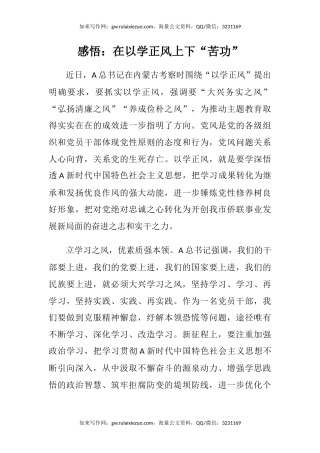 感悟：在以学正风上下“苦功”（内蒙古考察）（心得体会）