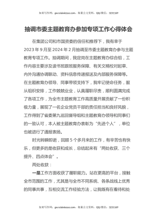 抽调市委主题教育办参加专项工作心得体会