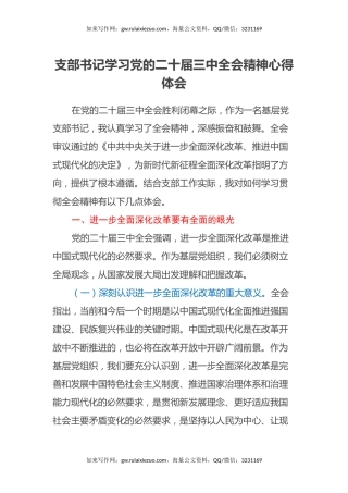 支部书记学习党的二十届三中全会精神心得体会