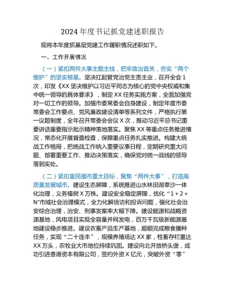 2024年度书记抓党建述职报告