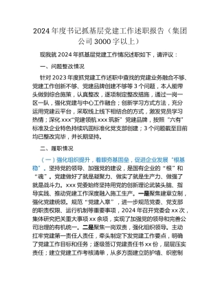 2024年度书记抓基层党建工作述职报告（集团公司3000字以上）