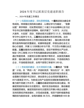 2024年度书记抓基层党建述职报告 (3)