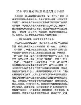 2024年度党委书记抓基层党建述职报告
