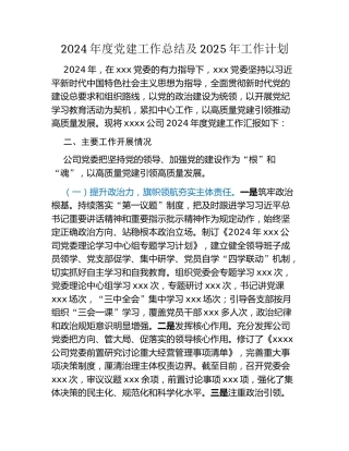 2024年度党建工作总结 及2025年工作计划